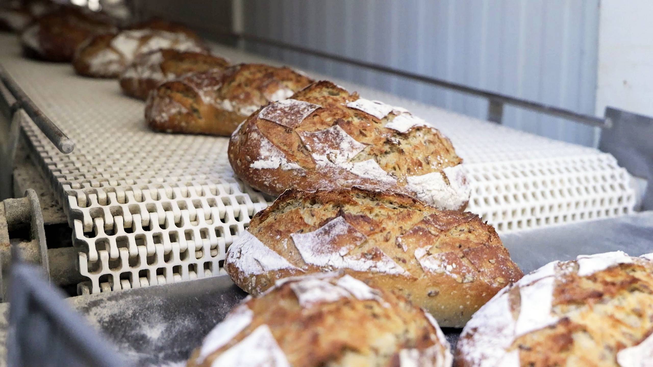 case study de trog video