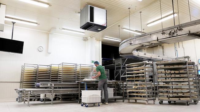 case study de trog preview