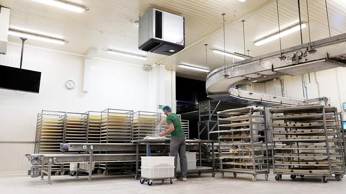 case study de trog preview