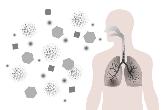Inhaled pollutants and particles are used to illustrate the effects of air pollution on the human lungs.