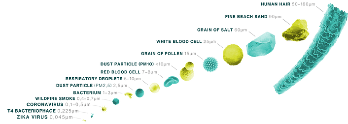 Different particles and their sizes compared 