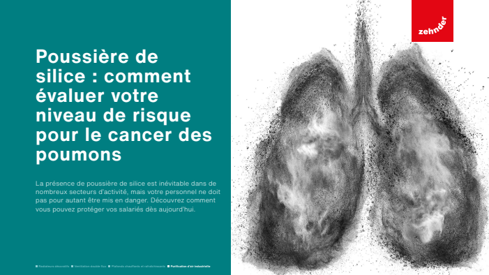 poussiere de silice comment evaluer votre niveau de risque du cancer des poumons