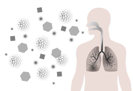 dust affects human health
