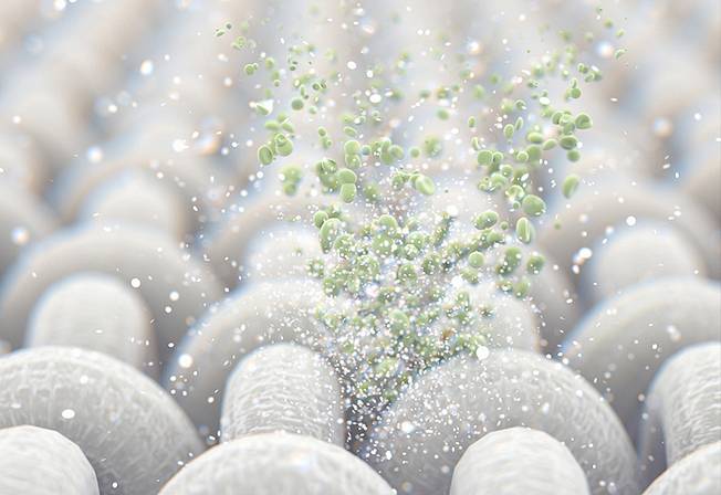 pollutants in the air mould bacteria virus