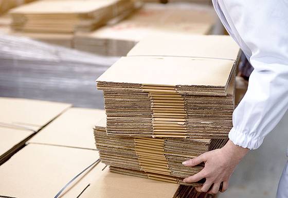 Worker in the packaging industry carrying a stack of cardboard