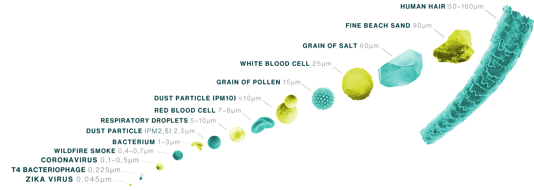 Different particles and their sizes compared 