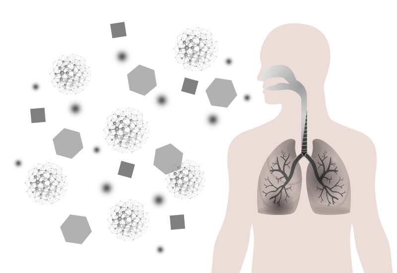 Illustration of the effects of air pollution on the human lungs, with inhaled pollutants and particles.